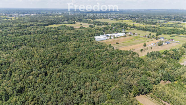 Przestrzeń na realizację marzeń o domu z ogrodem