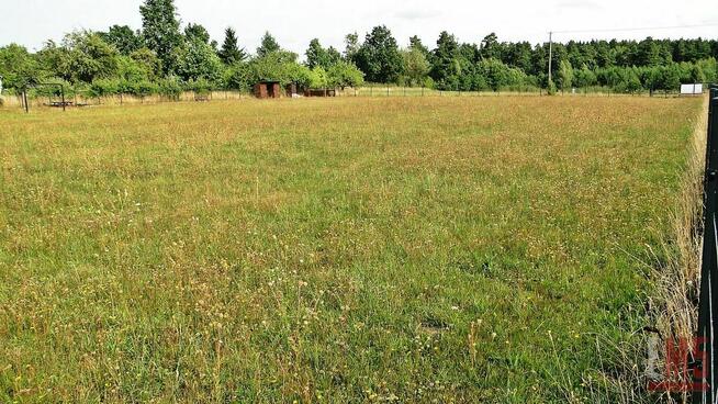 Działka rolno-budowlana Letniki gm. Dobrzyniewo Duże Letniki
