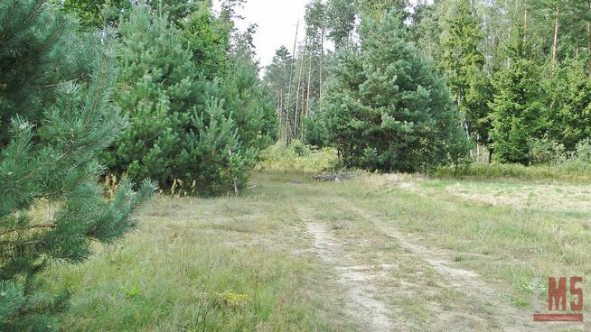 Działka rolno-budowlana Zalesiany gm. Turośń Kościelna