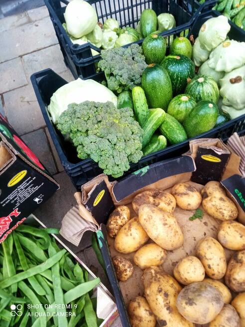 Pomoc domowa, kuchenna, sprzątanie–Kraków/Ochojno-od 08.2024