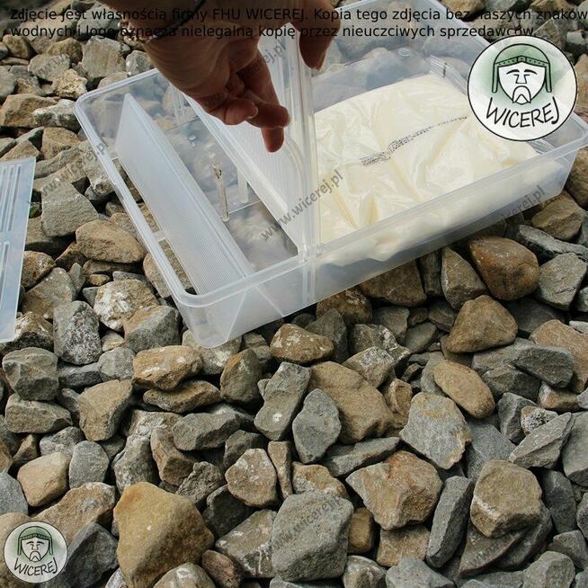 Podkarmiaczka skrzynkowa 3,5L przeźroczysta Duża syrop ciast