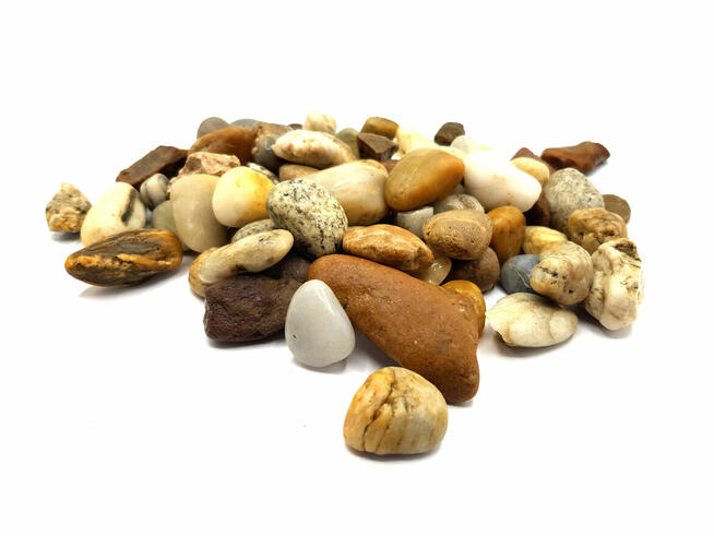 ŻWIR MIODOWY 1T BB OGRÓD DOSTAWA GRATIS