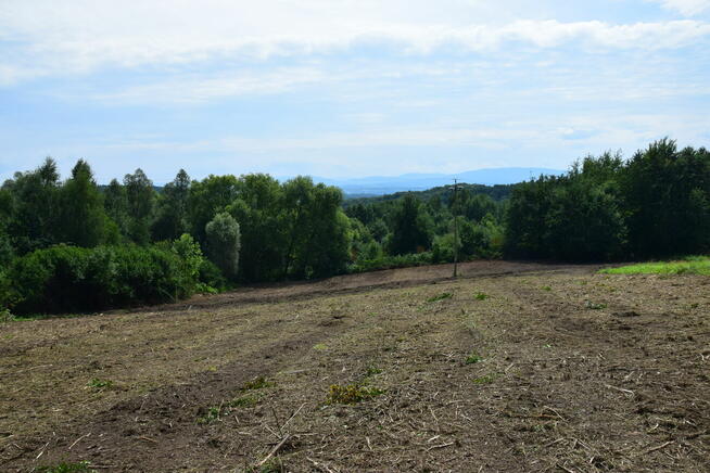 RACIBORSKO/Wieliczka, prywatnie,13a poludn. Cena 11,5 tys/ a