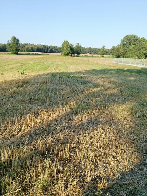 Sprzedam działki wraz z nieruchomością