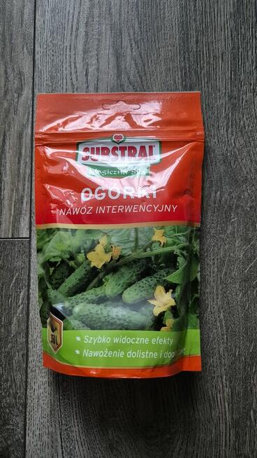 Substral ogórki magiczna siła
