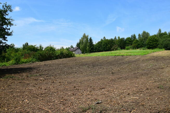 RACIBORSKO /Wieliczka, prywatnie,14a pol stok. 11,5 tys/ a