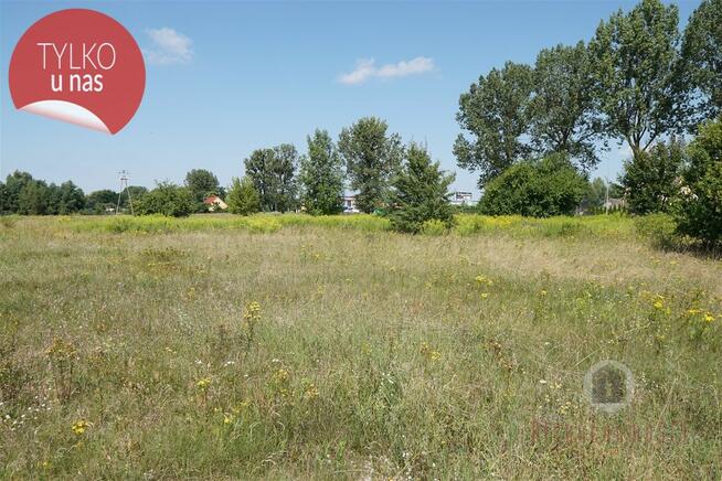 Działka w Deszcznie, ul. Stokrotkowa