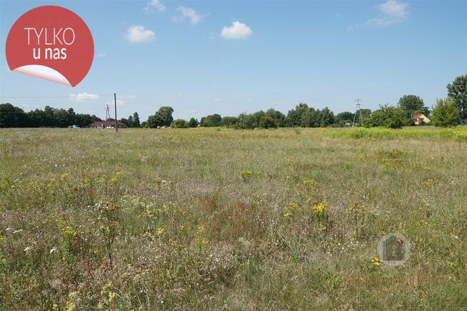 Działka w Deszcznie, ul. Stokrotkowa