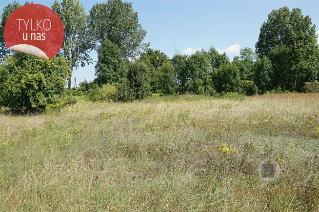 Działka w Deszcznie, ul. Stokrotkowa