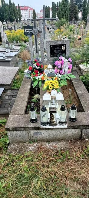 Regeneracja pomników lastryko