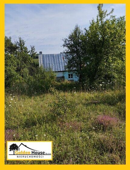BRZEZINY - DUŻA DZIAŁKA Z ZABUDOWANIAMI