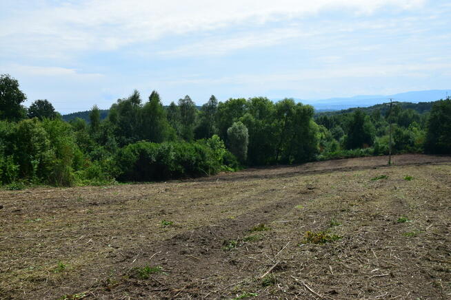 RACIBORSKO/Wieliczka, prywatnie,13a poludn. Cena 11,5 tys/ a