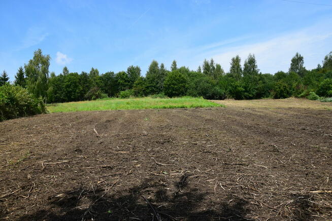 RACIBORSKO/ Wieliczka, prywatnie ,19a pol.stok, 11,5 tys/ a