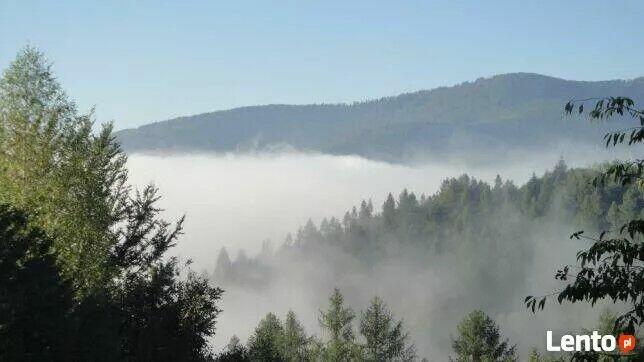 Międzybrodzie Bialskie do sprzedania działka budow rolna las