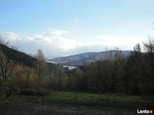 Międzybrodzie Bialskie do sprzedania działka budow rolna las