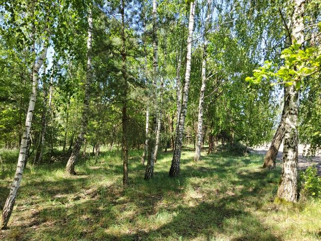 Działka Pawłowice Teresin