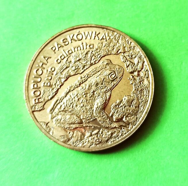 2 zł 1998 r. Ropucha Paskówka