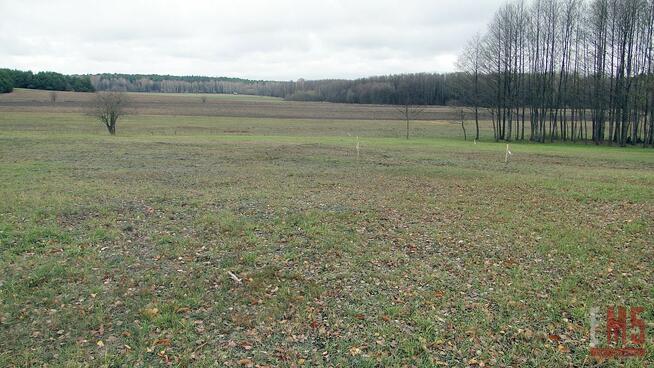 Działka budowlana Tołcze gm. Turośń Kościelna