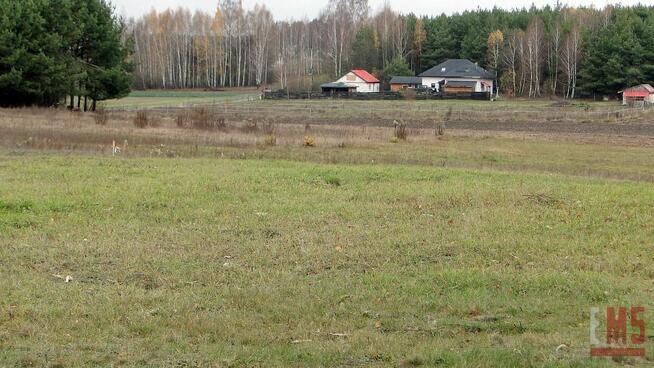 Działka budowlana Tołcze gm. Turośń Kościelna