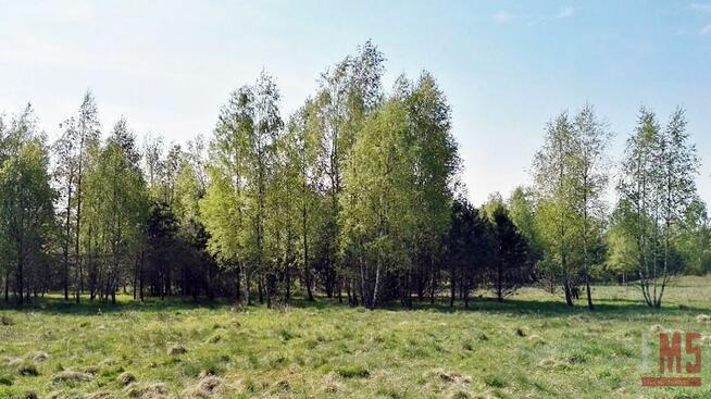 Działka siedliskowa Łubniki gm. Zabłudów