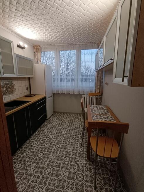 Do wynajęcia mieszkanie 3-pokoje Wrocław Krzyki -ul.Kamienna