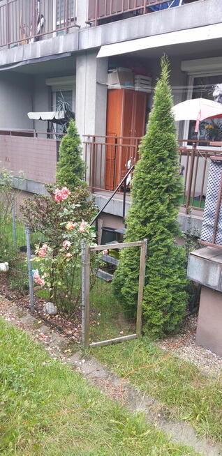 Zamienie mieszkanie w Zabrzu na Mieszkanie w Swiętochłowicac