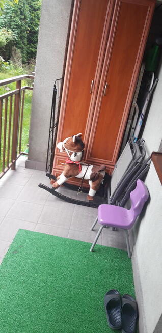 Zamienie mieszkanie w Zabrzu na Mieszkanie w Swiętochłowicac