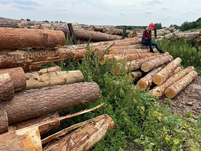 Drewno kominkowe SEZONOWANE Zgierz Aleksandrów Łódzki Piątek