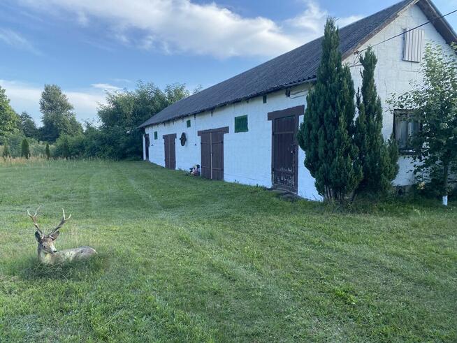 Przestronny dom położony w malowniczej okolicy.