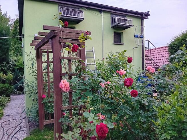 Sprzedam dwie działki ROD w Gostyninie