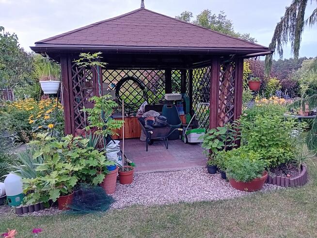 Sprzedam dwie działki ROD w Gostyninie