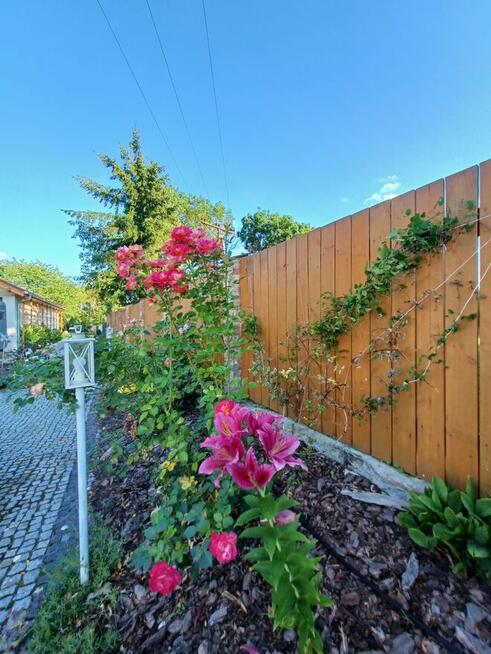 Apartament Noclegi Lubieszewo jezioro Lubie