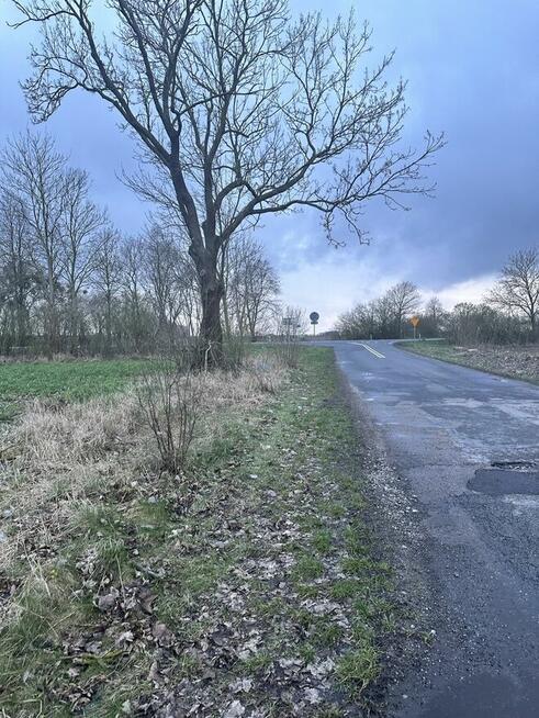 Teren inwestycyjny z potencjałem produkcja,/składy