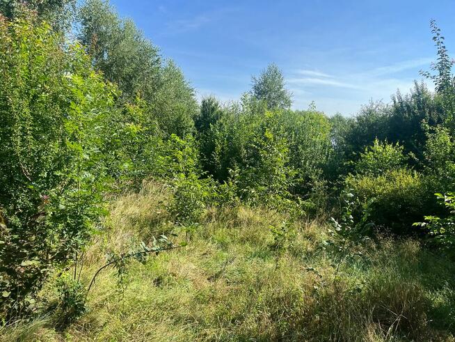 Mulczowanie w Myślenicach. Tel. 575-747-470 mulczer działek