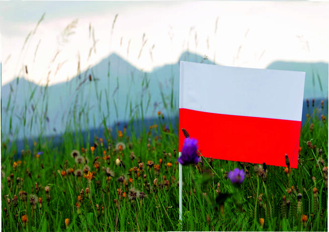 chorągiewki #flagi #POLSKI