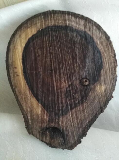 plaster naturalny orzech włoski