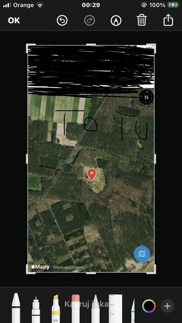 Działka rolna w lesie około 6 ha Mikorzyce gmina Wołów, bez