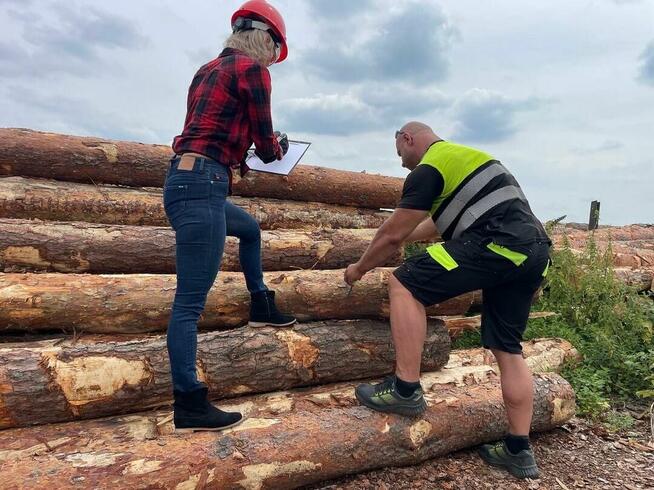 Drewno kominkowe SEZONOWANE Zgierz Aleksandrów Łódzki Piątek