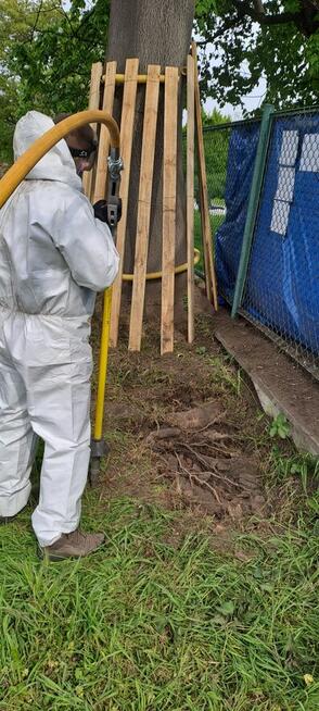 Inwentaryzacja drzew, operat dendrologiczny