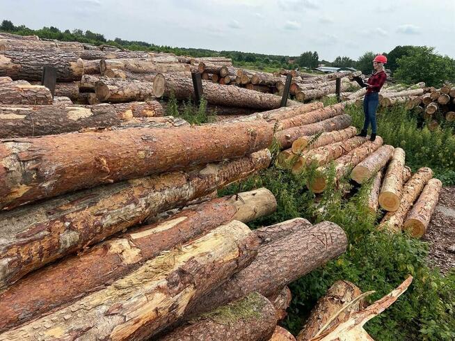 Drewno kominkowe SEZONOWANE Zgierz Aleksandrów Łódzki Piątek