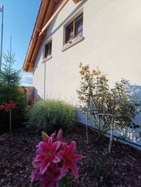 Apartament Noclegi Lubieszewo jezioro Lubie