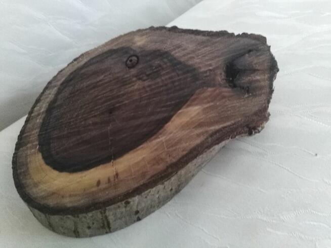 plaster naturalny orzech włoski