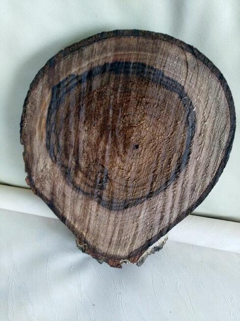 plaster naturalny orzech włoski