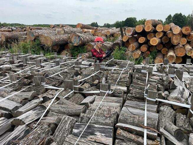 Drewno kominkowe SEZONOWANE Zgierz Aleksandrów Łódzki Piątek