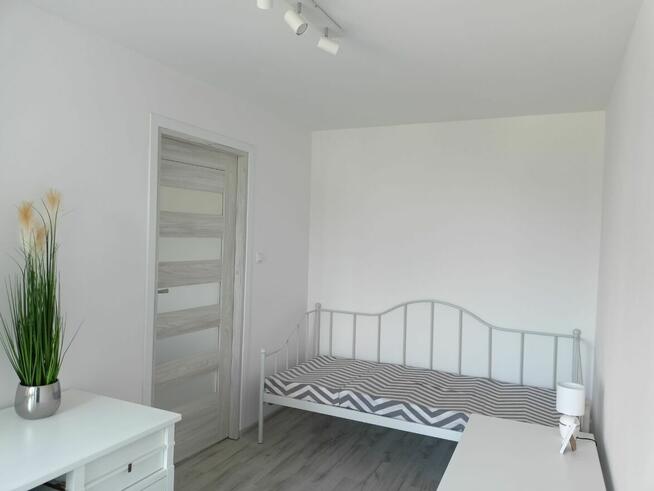 Wynajmę 3-pok. piękne mieszkanie bezpośrednio po remoncie