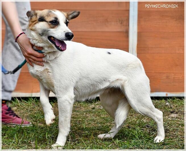 Kraska - teraz będzie już tylko lepiej