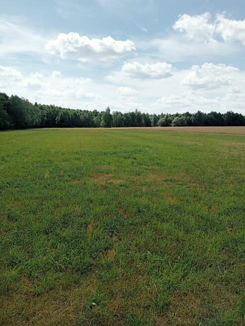 Sprzedam gospodarstwo rolne