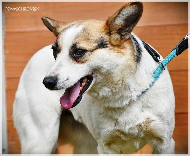 Kraska - teraz będzie już tylko lepiej