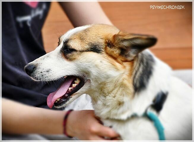 Kraska - teraz będzie już tylko lepiej