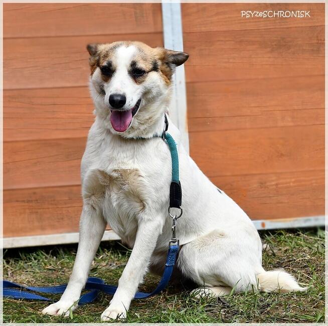 Kraska - teraz będzie już tylko lepiej